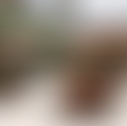 O Jardineiro lança projeto musical com música brasileira às quartas-feiras em Curitiba