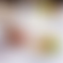 Ile de France anuncia serviço de catering