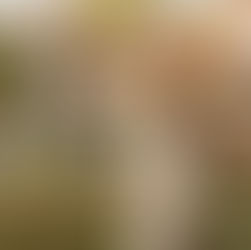 Escape do estresse de final de ano com uma experiência completa no Kurotel, em Gramado