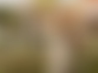 Escape do estresse de final de ano com uma experiência completa no Kurotel, em Gramado