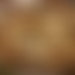 Pizzaria carioca Officina Local volta a figurar entre as melhores pizzas do mundo no ranking da Time Out