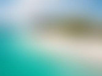 Sirva-se! Barbados está no menu!