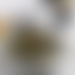 Ile de France apresenta os números de 2024 e abre reservas para o Réveillon