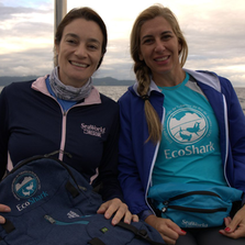 Fundo de Conservação do SeaWorld apoia projeto de preservação de tubarões no Rio de Janeiro