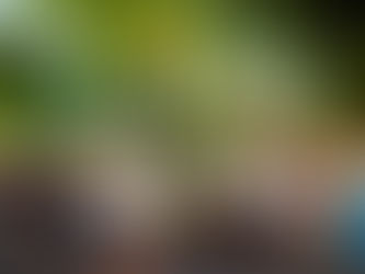 2ª edição da Casa Literária acontece neste sábado (06), em Curitiba