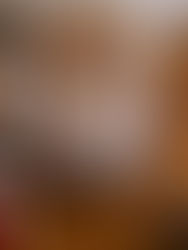 Ile de France mantém a tradição de final de ano há 72 anos em Curitiba