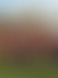 Mais de 8 mil pessoas viveram a essência de um território vivo