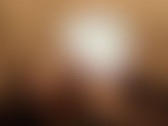 Paraná é o estado com maior número de doação de órgãos por milhão de população em 2018