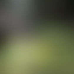 Johanesburgo: Perdi a reserva do Hotel no Aeroporto! Dicas!