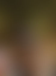 Chandon Sunset Passion,onde o Vale dos Vinhedos encontrasua energia mais vibrante