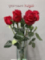 กุหลาบแดง Royal