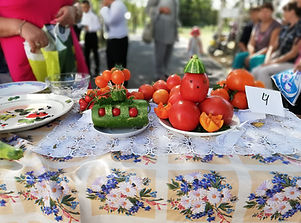 IMG_20180901_123756.jpg