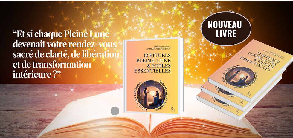 Intro (Français).png