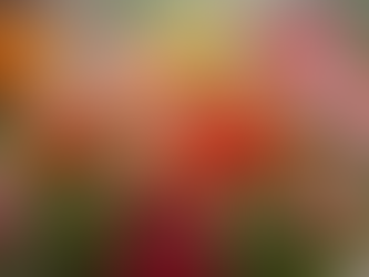 En Güzel Çiçekler İçin Doğru Seçimler