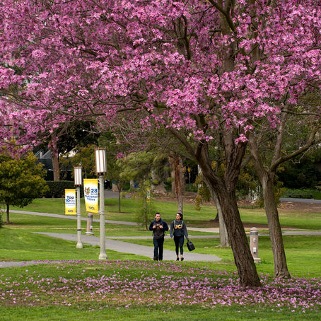 Returning to Campus- A Guide for Coping During COVID-19 Uncertainty - College Student Edition