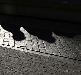 SHADOWS.jpg