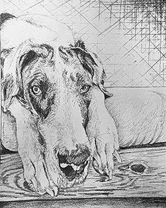 DogDays_edited.jpg