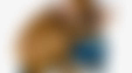 Felices Fiestas para todos