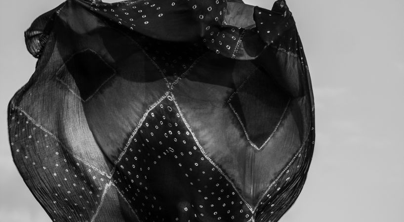 Draezenn ar ris1.JPG