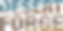 Logo-11.png