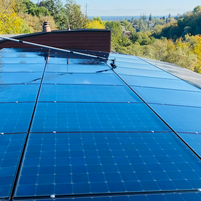 Wildlife-Proof Your Solar: Humane Strategies to Protect Panels and Maximize Output