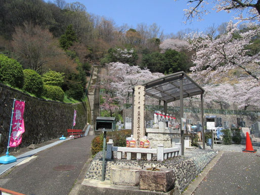 樹木葬-墓前では、屈(かが)むのか、しゃがむのか…
