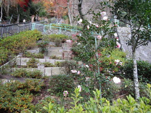 ごきんとうはんな墓づくり、墓じまい