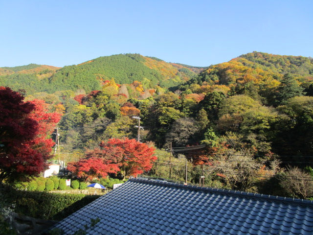 続-「飛鳥・藤原の宮都」世界文化遺産~構成資産19の内墳墓7