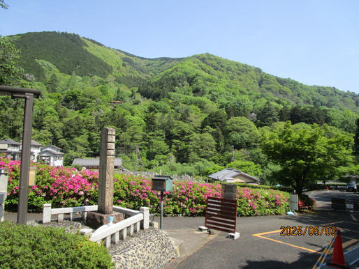 樹木葬八瀬霊苑の花と新緑