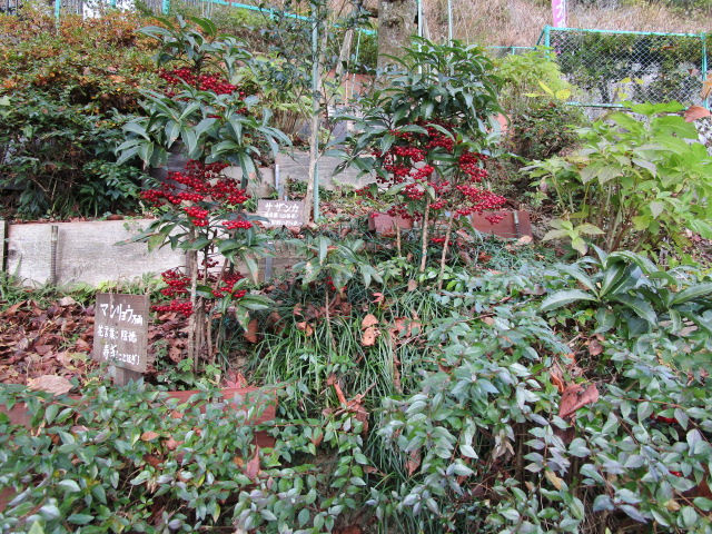 ごきんとうはんに~墓じまい