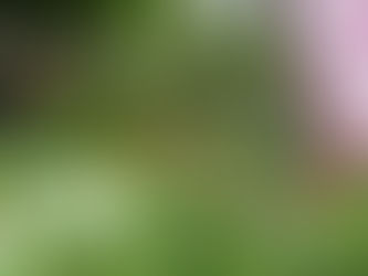 京都のお墓-八瀬霊苑の墓じまいセット付き使用期間限定墓なら安心です(画像2枚)