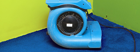 Blower carpet drying machine
