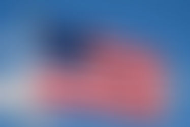 The American Flag