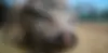 DSC08112_JPG.webp