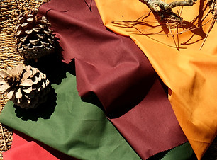 Automne Chaud 3_edited.jpg