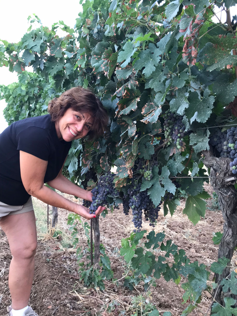 Adelina in vigneto