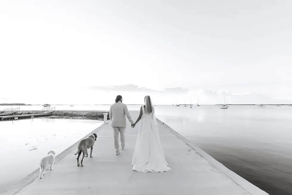 Photo - 2025-11-06T170943.004.webp