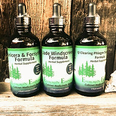 EE product for website_edited.jpg