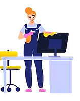 professional cleaning service