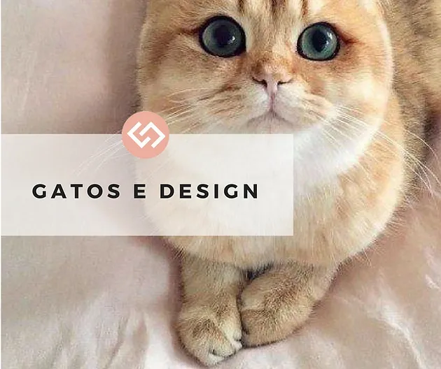 Avoir Images Gatos E Design dernière par