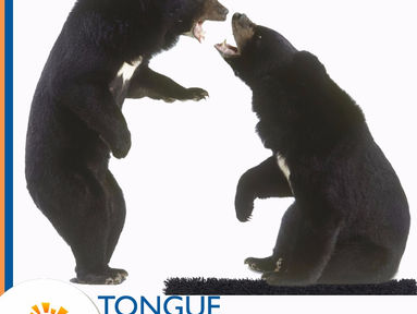 Tongue Twisters