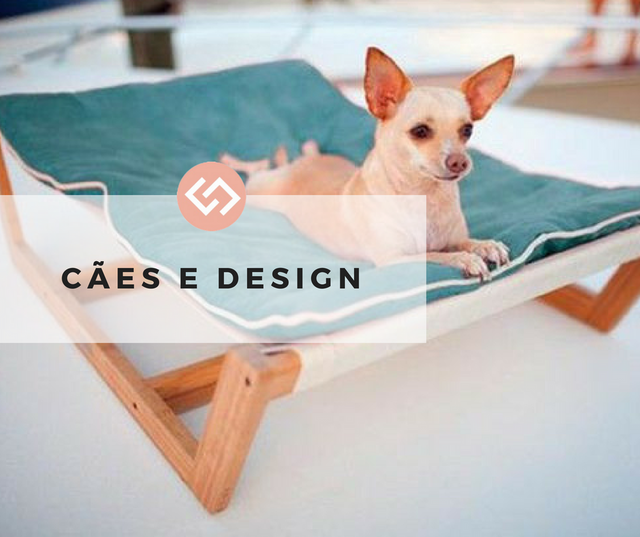Cães e Design
