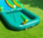 Thumbnail: 12' Safari Water Slide with Pool