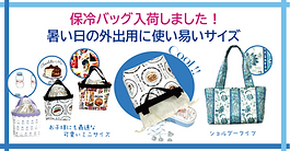 暑い日の外出に最適な保冷バッグです