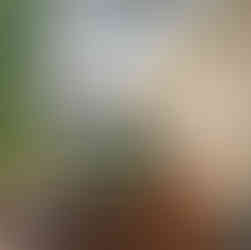 Magnolia suite, bridal Suite, wedding HMU, wedding photography, Biracial Wedding, Micro Weekend Wedding, Lounge near infinity pool, destination wedding in Tennessee, camp weekend wedding weekend Wedding Nashville Resort, Tennessee, Destination Wedding  Venues, Tennessee Wedding Venues Mountain Wedding Venues Lakeside