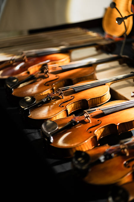 MusicaVolta-violons2.jpg