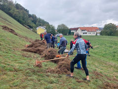 Einladung zur Mähaktion 2025