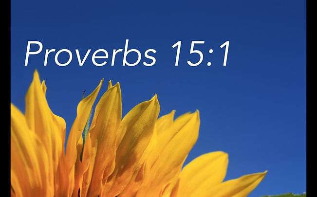 Proverbs 15