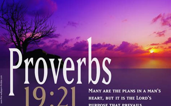 Proverb 19