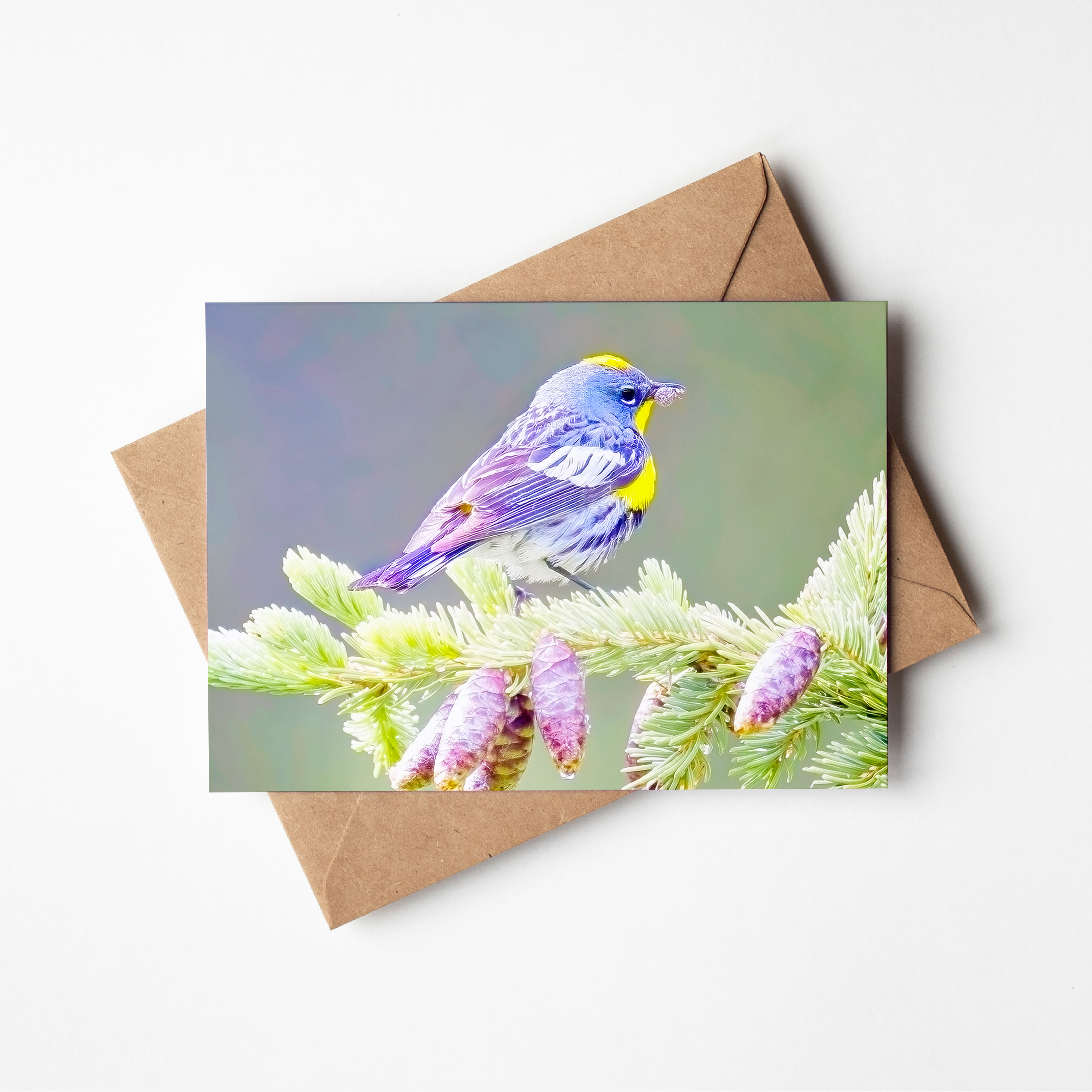 Warbler's Catch Greeting Card